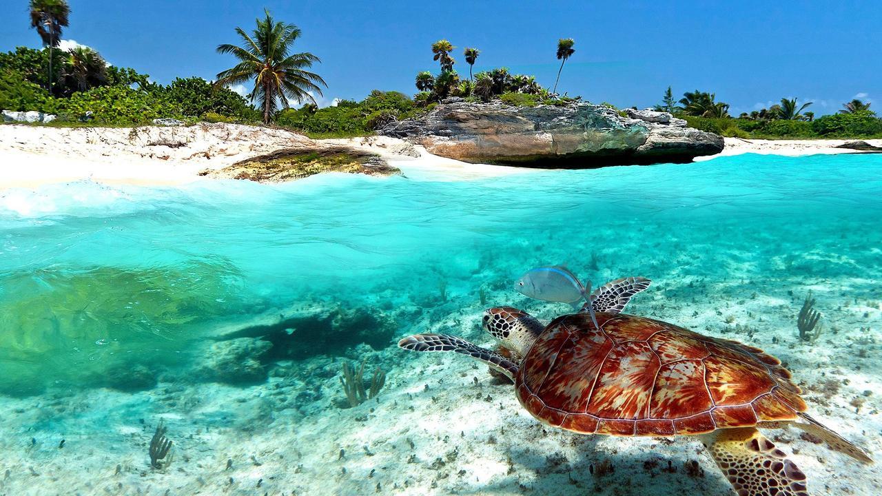 Naay Bej Hotell Tulum Eksteriør bilde